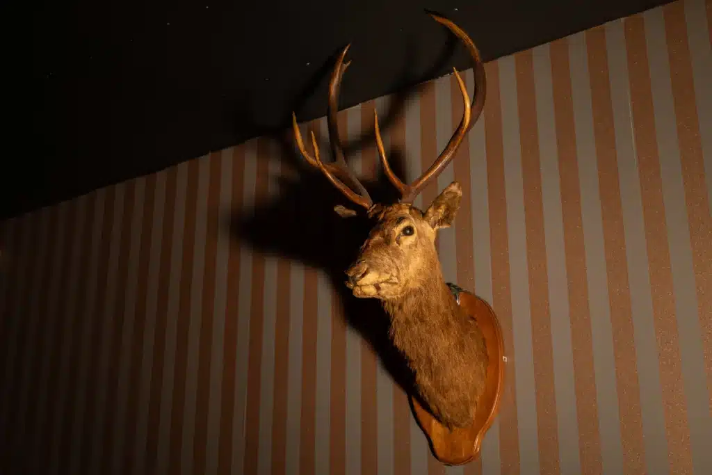 Обгърнати в мистерия предмети и загадки в ескейп стая 'Сълзи и скръб'